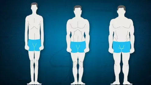 So passt du dein Training an deine Morphologie perfekt an!