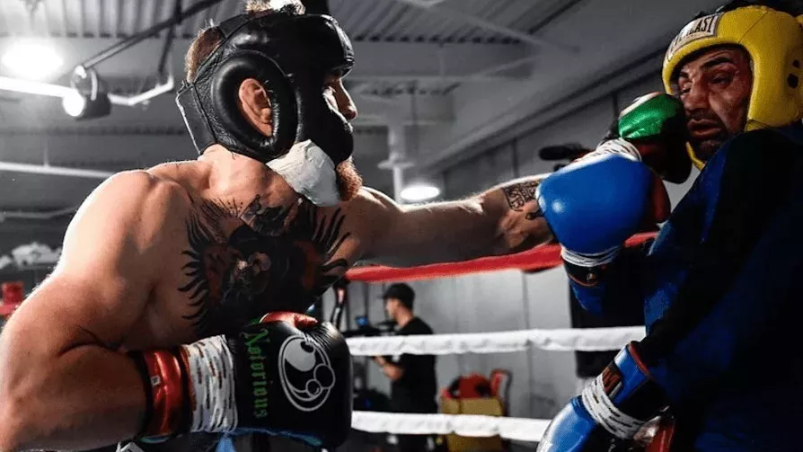 Paulie Malignaggi: Der Sparringspartner von McGregor enthüllt eine ungemütliche Wahrheit über seinen Kampf gegen den UFC-Champion