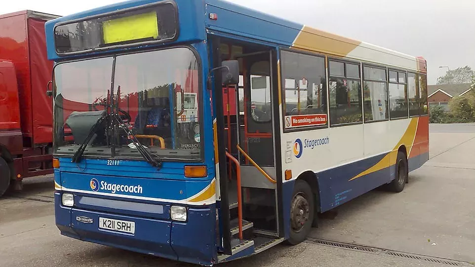 eBay-Versteigerung: Aus einem altem Bus wird ein tolles Wohnmobil