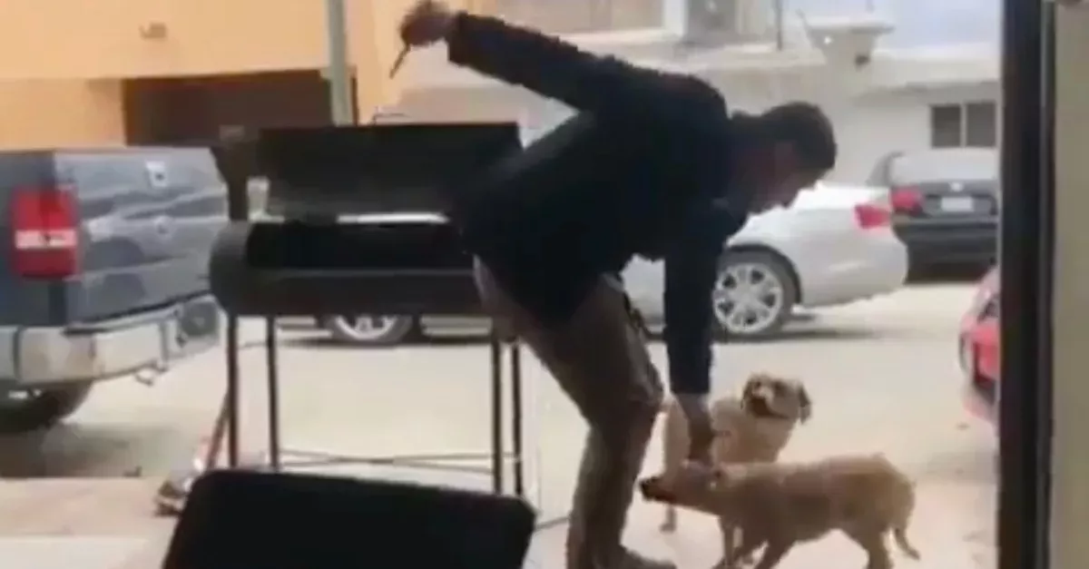 Überwachungskamera: Er lockt den Hund zu sich, dann zückt er plötzlich ein Messer