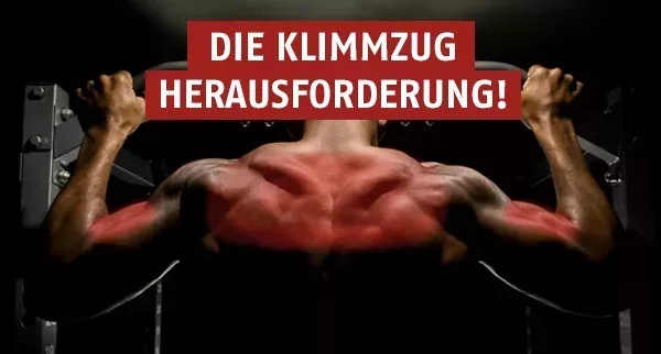 Krafttrainings-Programm: Die Klimmzug-Herausforderung für Rücken und Bizeps