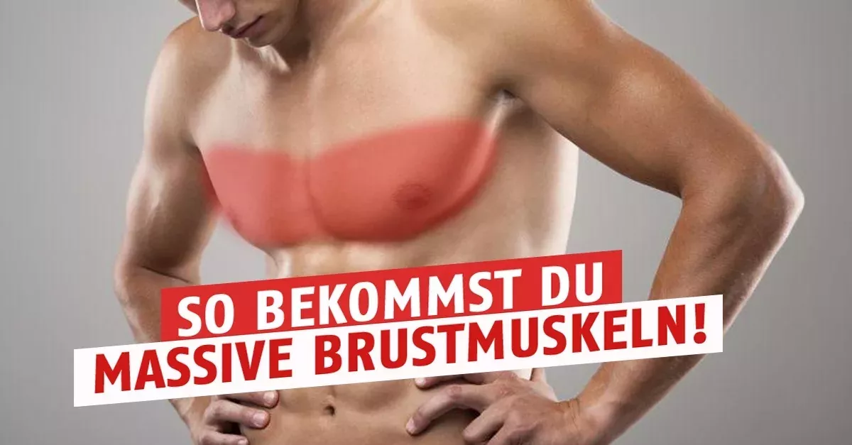 Krafttrainings-Programm: Wie ihr massive Brustmuskeln bekommt