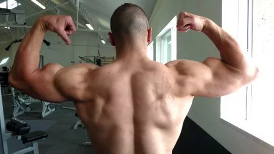 Übung für das Schulter-Training: Wie kann man liegende Klimmzüge perfekt durchführen?