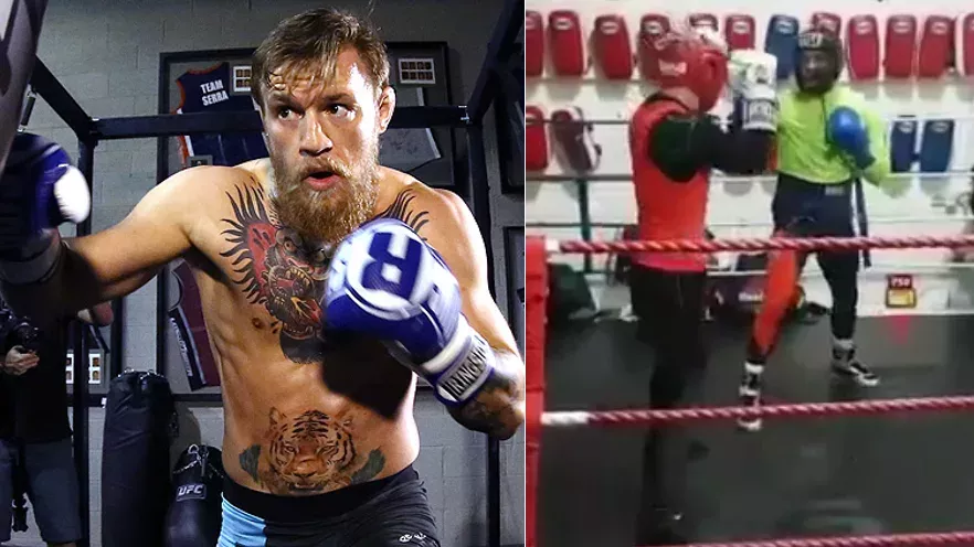 Conor McGregor beim Boxtraining