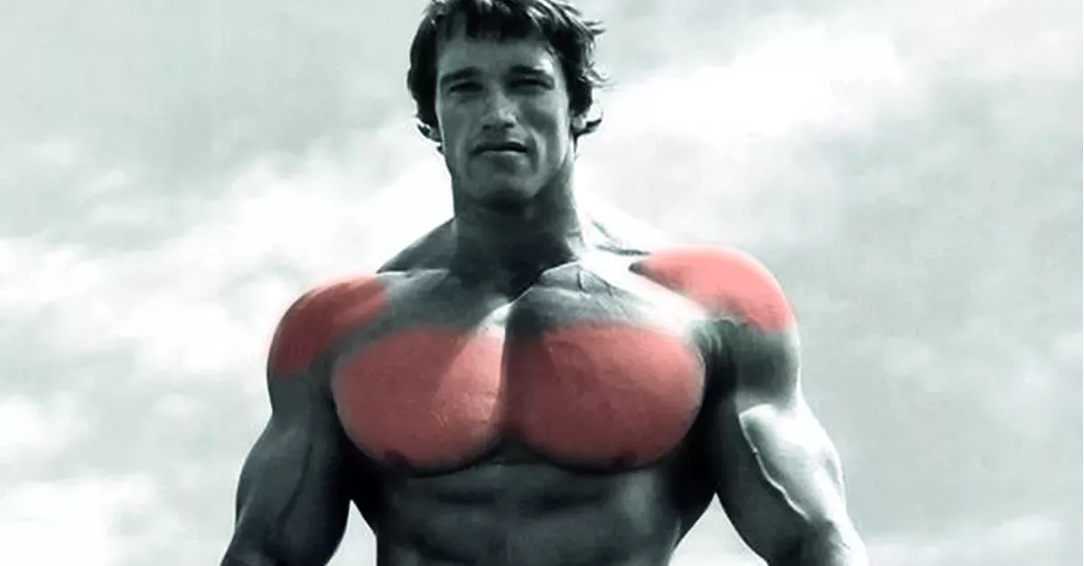 Arnold Schwarzenegger's Trainingsmethode, um sehr muskulöse Schultern zu bekommen!