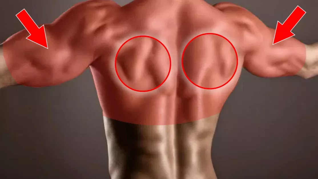 Dieses Training für Fortgeschrittene verleiht eurem Rücken und eurem Bizeps Volumen