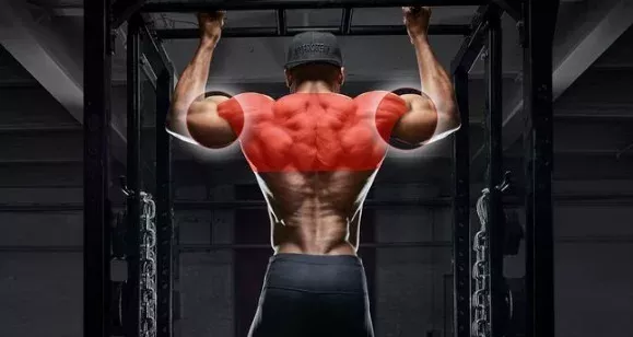 Burpee-Klimmzüge: Die All-Round-Übung für euer Training