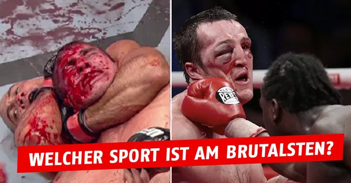 Warum Boxen gefährlicher ist als die MMA?