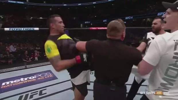 Skandal: Fabricio Werdum tritt Edmond Tarverdyan, den Trainer von Travis Browne nach dem Kampf