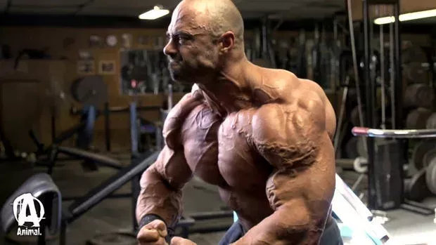 Bei diesem Bodybuilder sieht man die Anstrengung an jeder einzelnen Vene!