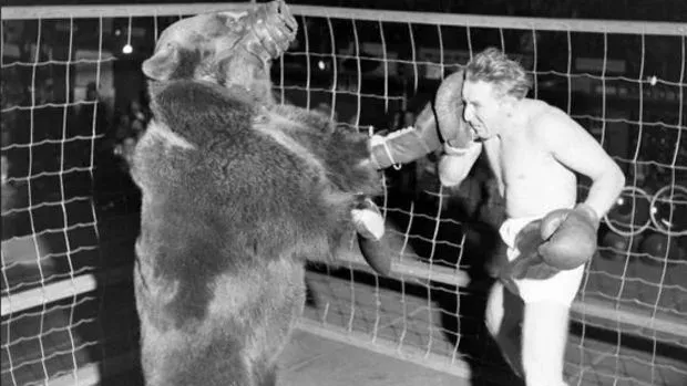 Unglaublich! 1937 versuchte dieser Mann gegen einen Bären zu kämpfen!