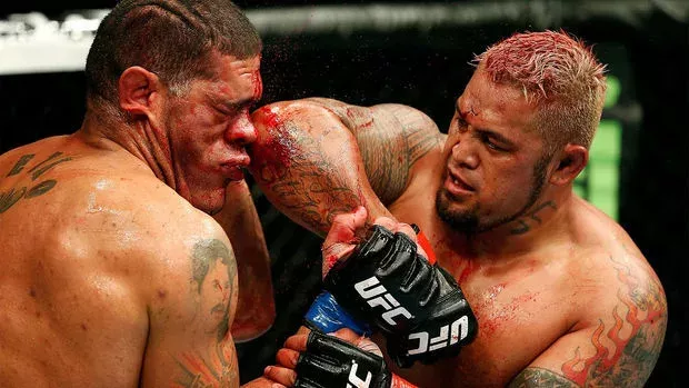 Der blutige Kampf zwischen Mark Hunt und Brock Lesnar