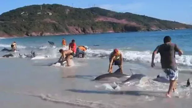 Diese Urlauber in Brasilien haben zum Glück schnell geschaltet!