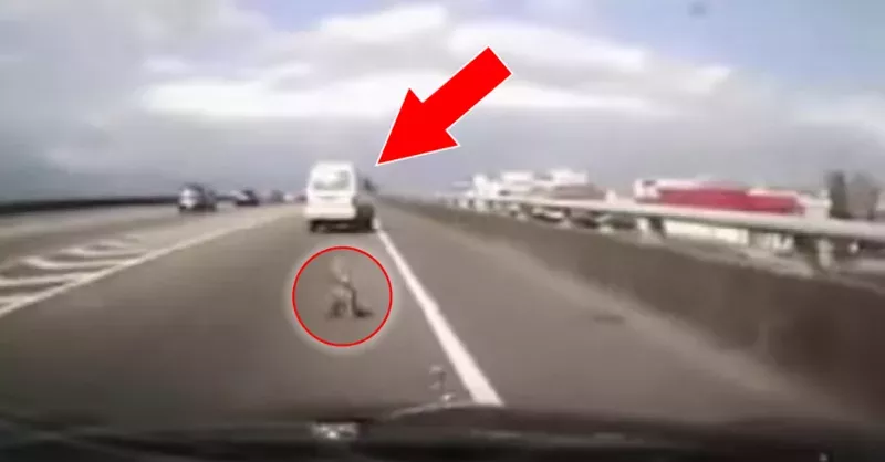 Die einen schmeißen im Auto Müll zum Fenster raus... Aber was dieser Mann rausschmeißt, ist unmöglich!