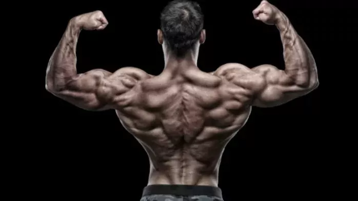 Schultertraining: Die perfekten Rotating Push Ups für starke Schultern