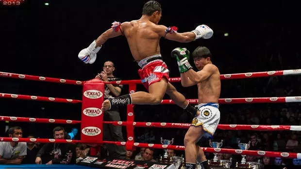 Muay Thai: Saenchai platziert mit diesem magischen Tritt einen der schönsten KOs seiner Karriere