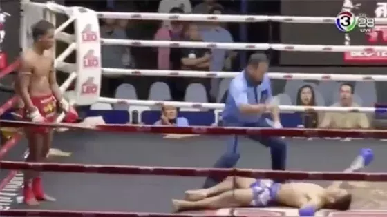 Muay Thai: Ein neuer Kandidat für den K. o. des Jahres!
