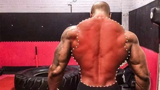 Es ist das ideale Workout für den Rücken und du brauchst dafür nur dein eigenes Körpergewicht