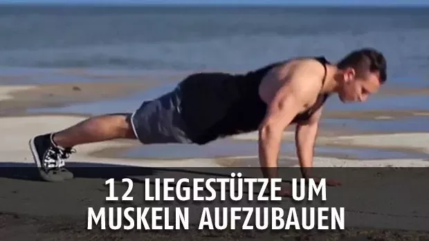 Die 12 besten Liegestütze im Überblick!
