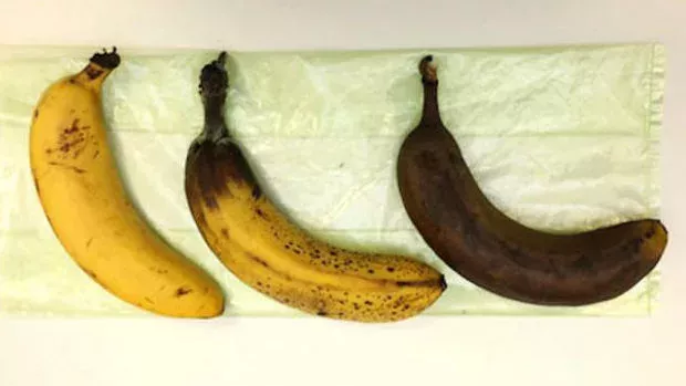 Tipps und Tricks - Episode 5: Wie lagert man Bananen, ohne dass die Schale schwarz wird?