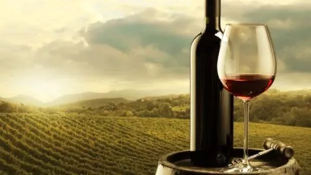 Richebourg Grand Cru Côte-de-nuits: Der teuerste Wein der Welt ist ein Burgunder