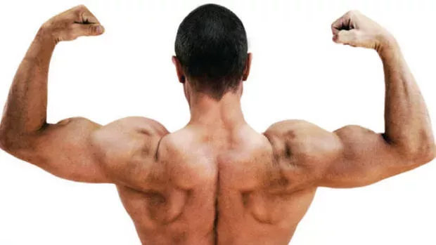 15 Übungen für den Fitnessraum, um ultra muskulöse Arme zu bekommen