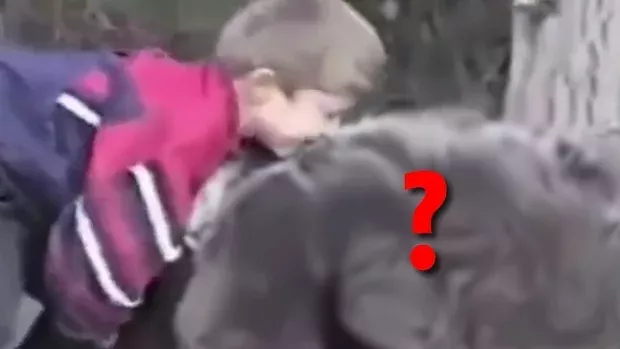 MMA: Ihr werdet nicht glauben, wer der erste Trainingspartner von Legende Khabib Nurmagomedov war!