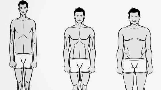 Wie ihr euren individuellen Körperbau beim Training berücksichtigen müsst