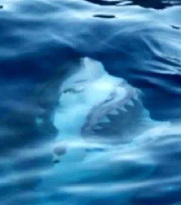 Mutprobe geht viral: Niemand kann nach diesen Bildern noch ins Wasser gehen!