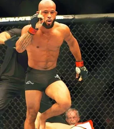 So sieht der perfekte MMA-Kämpfer aus!