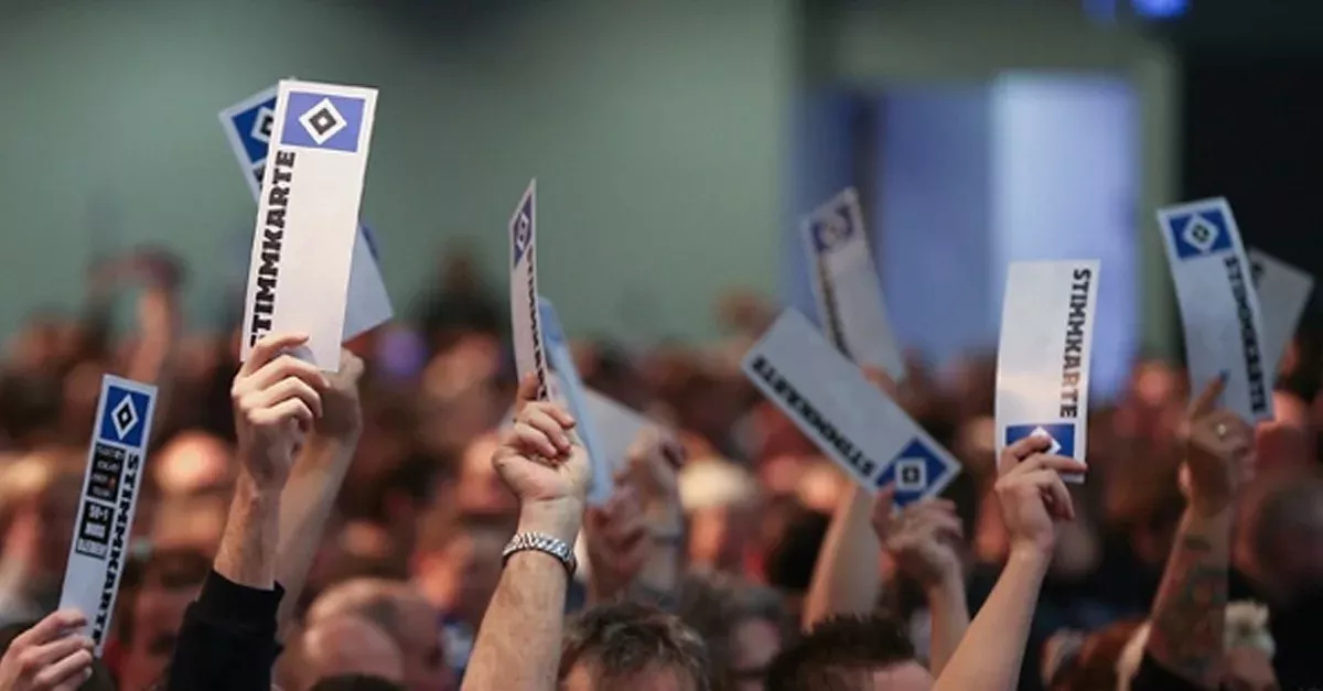 HSV-Pläne machen AfD-Mitglieder wütend