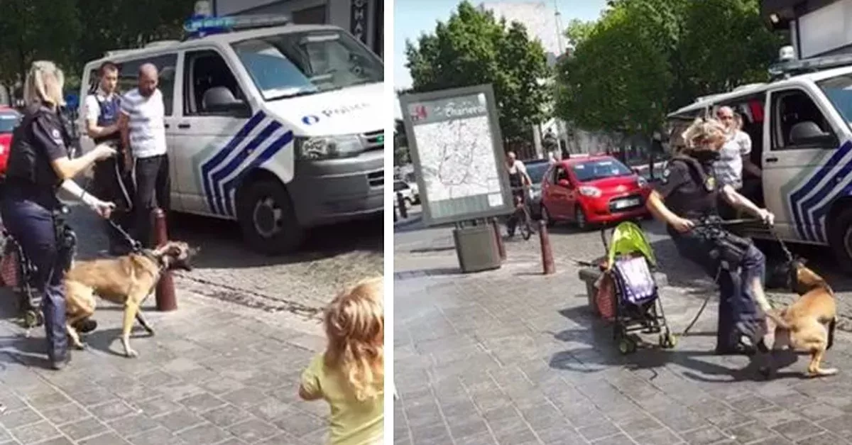 Polizistin tritt ihren Diensthund