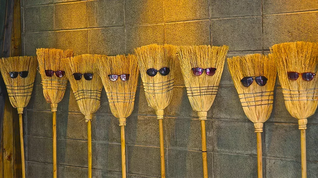 Die neue Challenge: #Nasabroom #Broomchallenge