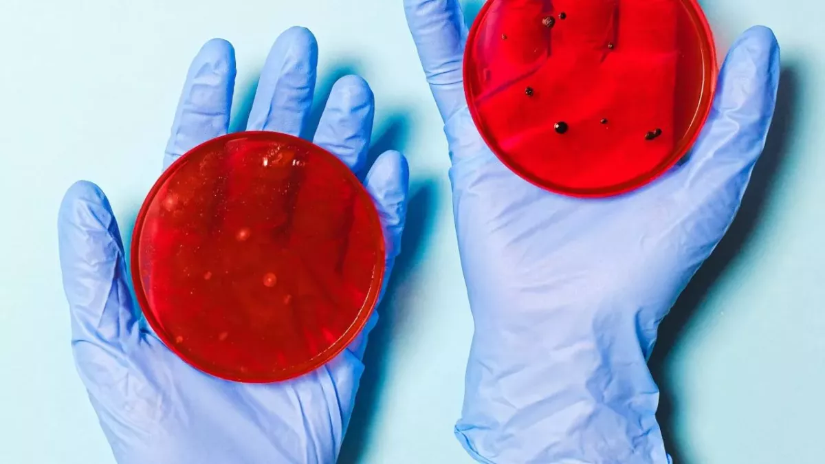 In Bayern ist eine neue Mutation des Coronavirus aufgetaucht.