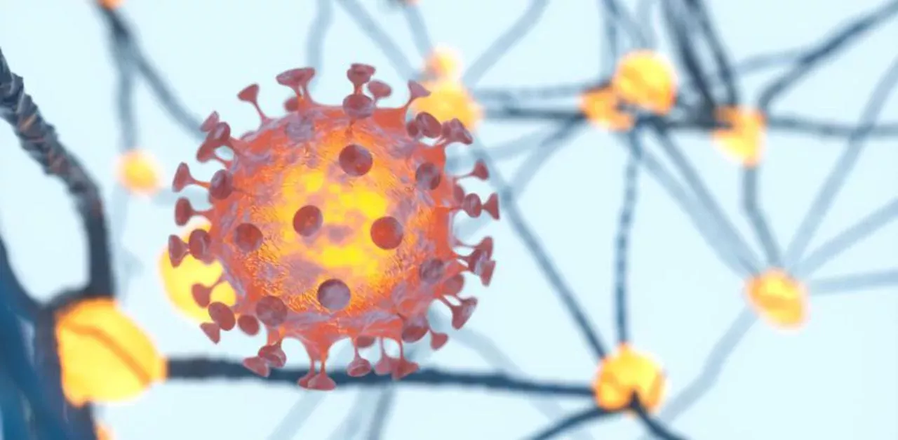 Coronavirus: Eine dritte Welle