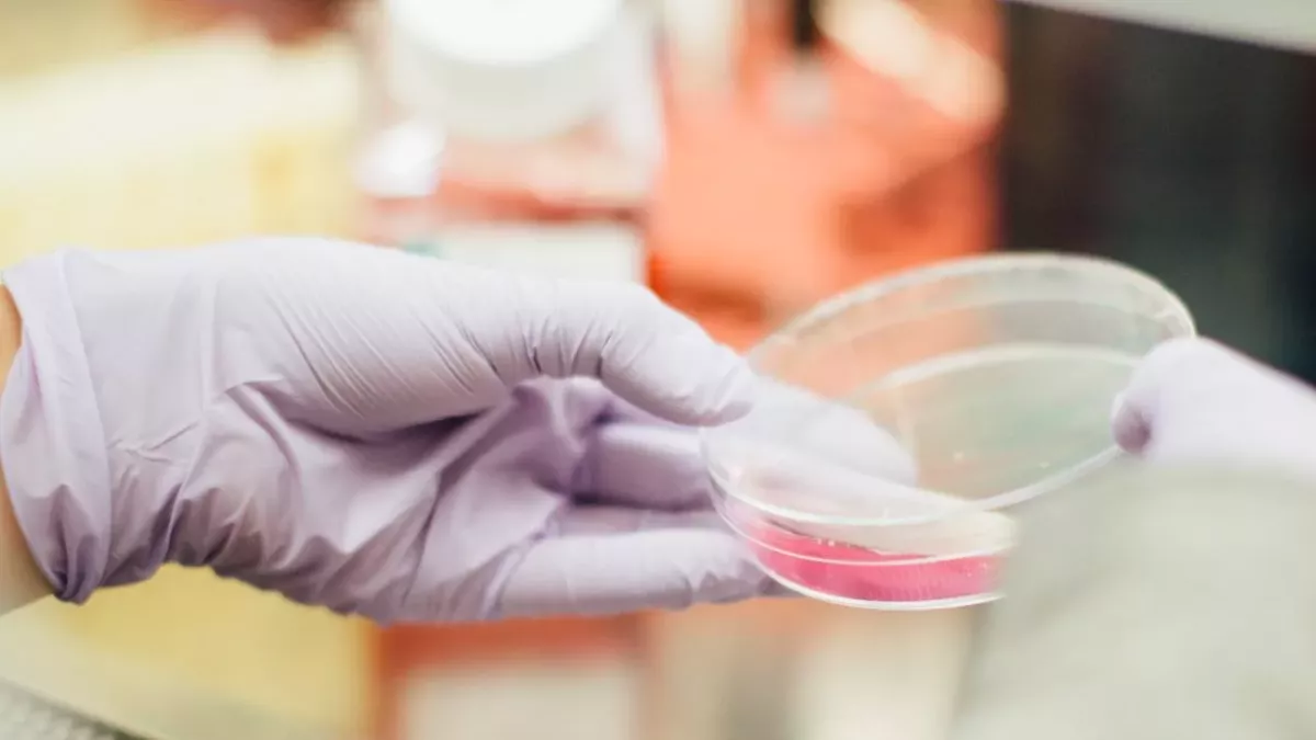Das Coronavirus könnte im Labor hergestellt worden sein