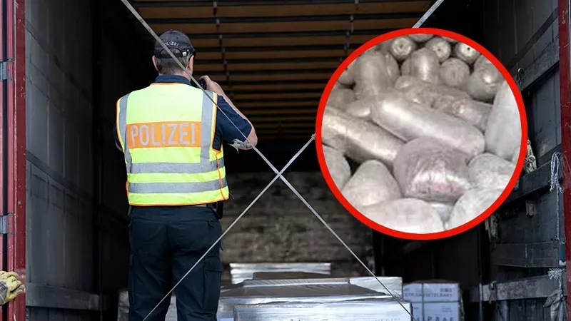 Dresdner Zoll macht 2.000 Kilo schweren Ekelfund in Kühltransporter