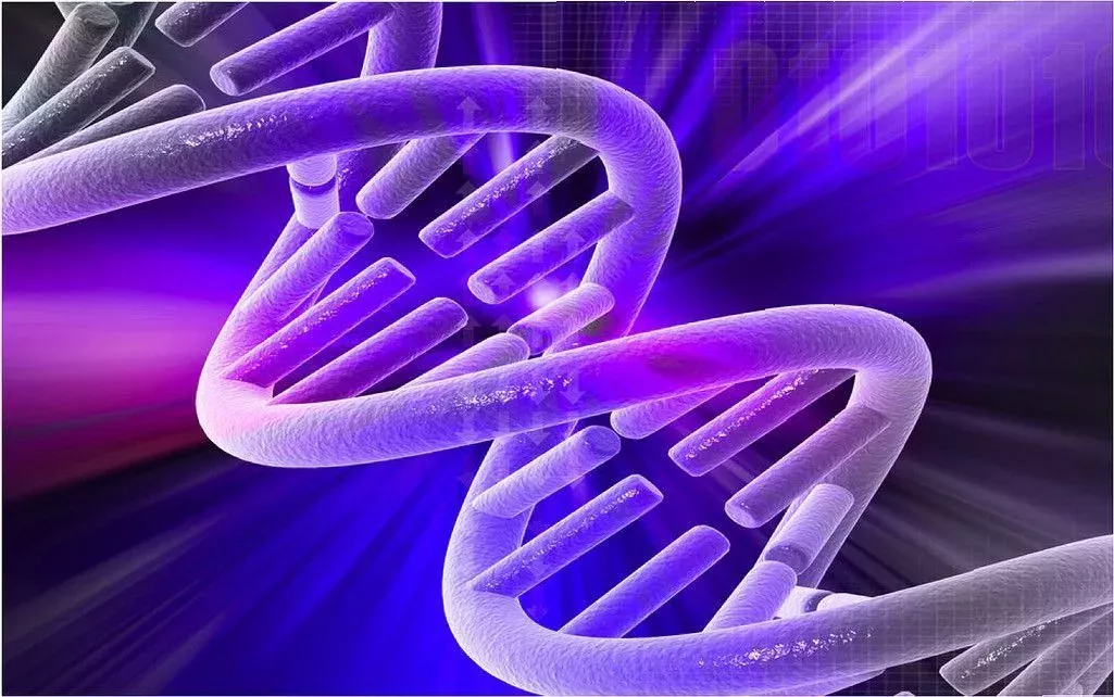 Angelman-Syndrom: Symptome, Ursachen, Therapie