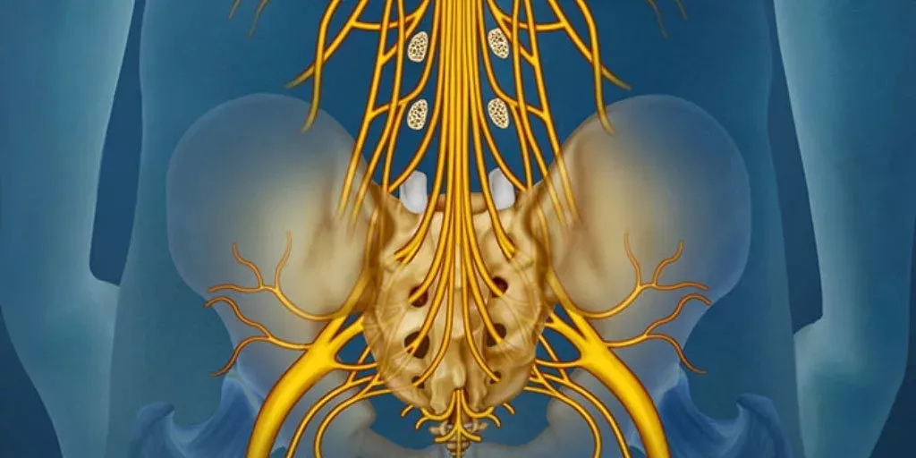 Cauda-equina-Syndrom: Symptome, Folgen, Ursachen, Behandlung