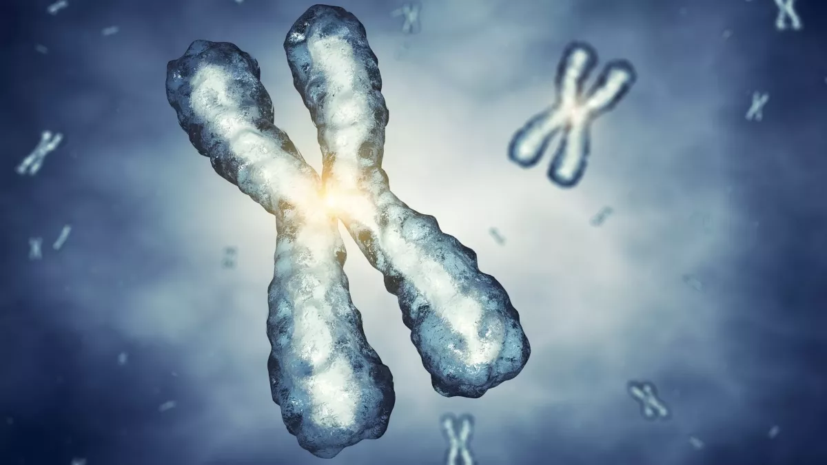 Turner-Syndrom: Symptome, äußerliche Merkmale, Ursachen