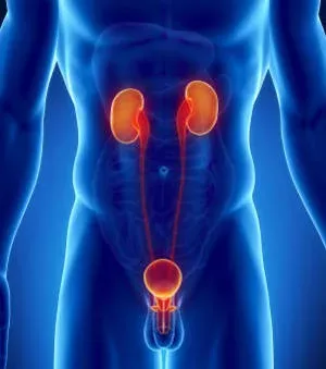 Prostatakrebs: Definition, Anzeichen und Symptome, Therapie und Behandlung durch Operation oder Bestrahlung, wie sind Heilungschancen und Lebenserwartung?