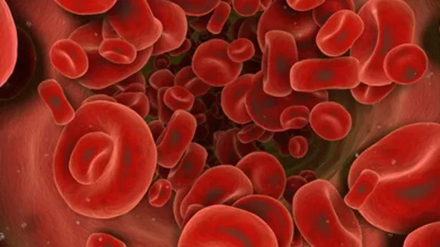 Blutvergiftung: Definition, Anzeichen und Symptome, Ursachen, Behandlung und Therapie, Was ist die Sepsis?