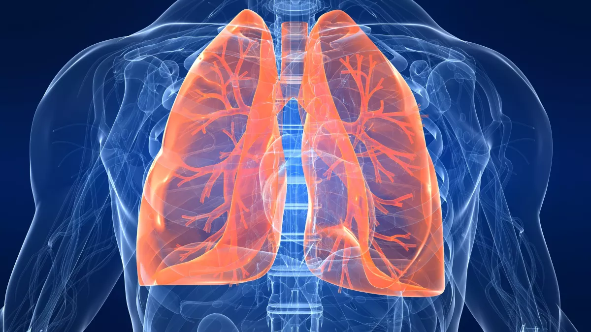 Lungenemphysem (COPD): Definition, Lebenserwartung, Symptome, Therapie, Ursachen und Behandlung
