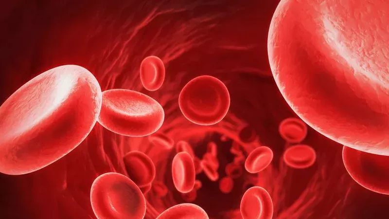 Anämie / Blutarmut: Symptome, Ursachen und Therapie