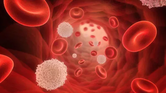 Cholesterin: Wie kann man Cholesterinwerte senken? HDL, LDL, Ernährung, Grenzwerte, Behandlung