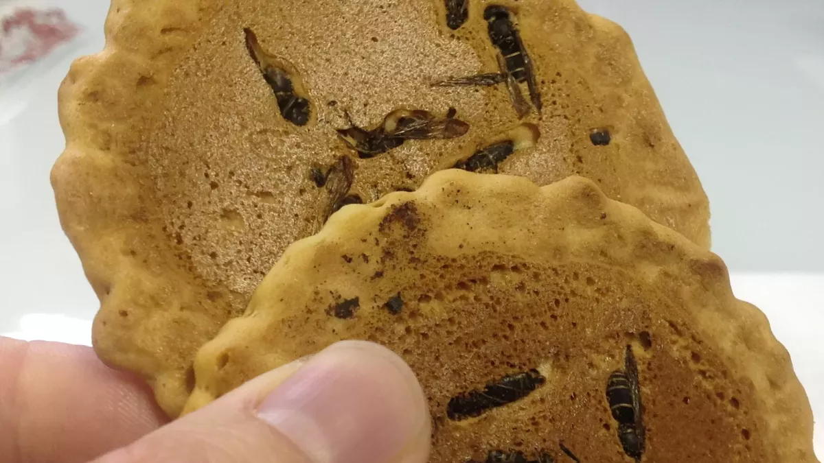 Die 17 seltsamsten kulinarischen (Ekel-)Leckerbissen der Welt