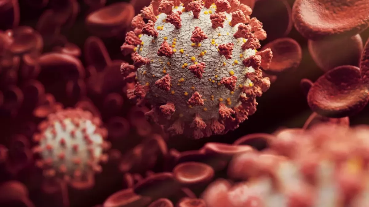 Erreger des Corona-Virus SARS-CoV-2 
