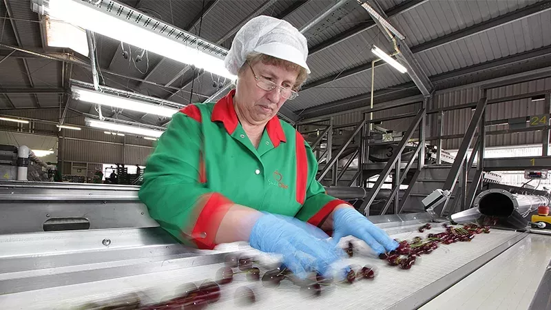 Industriell verarbeitetes rotes Fleisch birgt tödliche Gefahr in sich