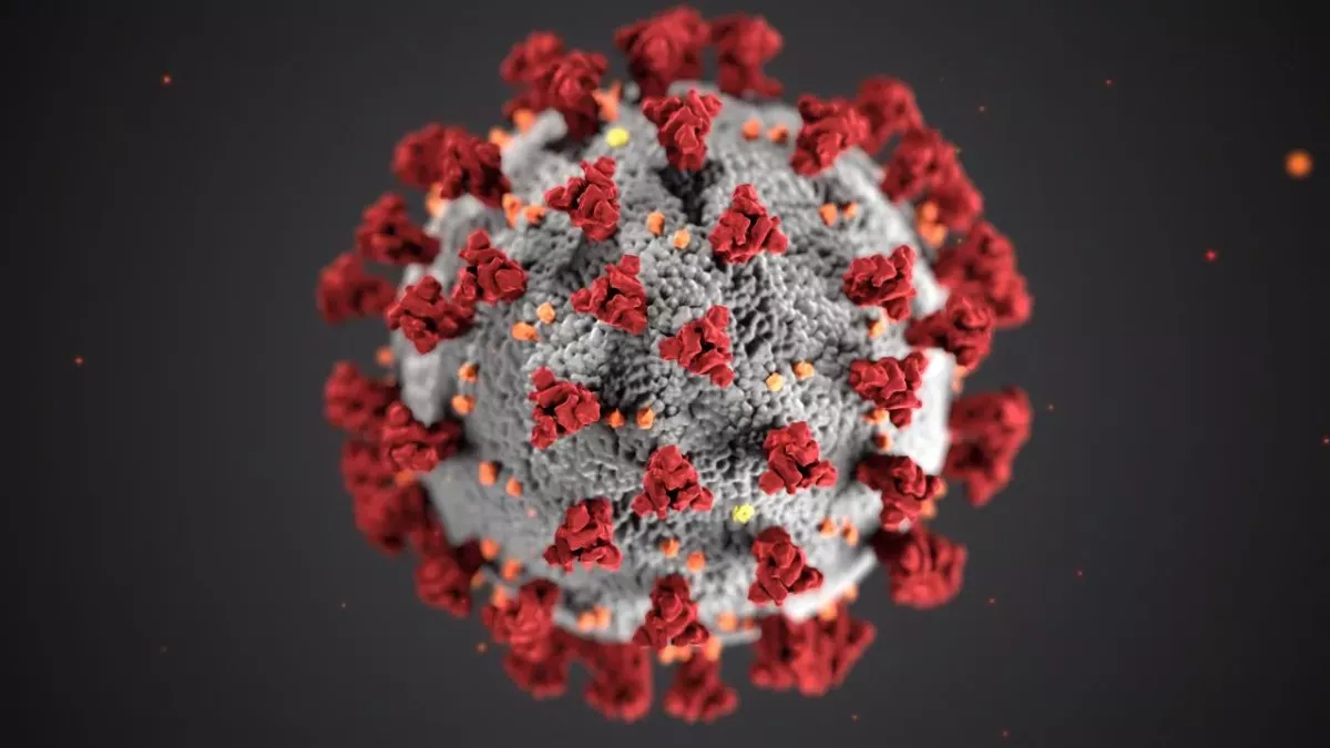 Unheimliche Kombination bei Virusmutation