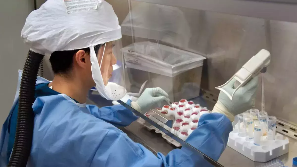 Virus China